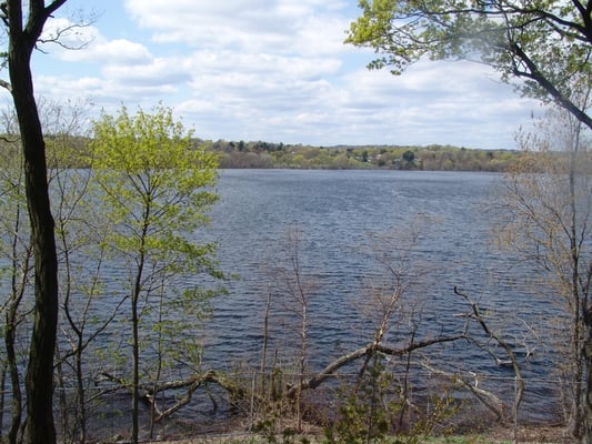 Fresh Pond by null