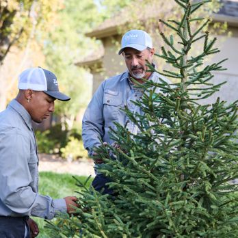 Ziehler Lawn Care - Tree and Shrub Care - Pest Control Near Me - Centerville, Ohio
