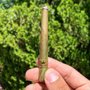 The Joint Headshop