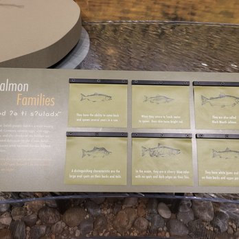 Hibulb Cultural Center - Salmon families - Museums Near Me - Tulalip, Washington