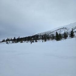 AK Bucket List Tours