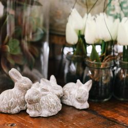 Blue Spruce Boutique