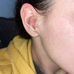 Green Light Body Piercing - Current 2024 picture of my healed conch and tragus!  Double lobes are healed as well!