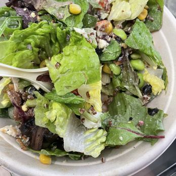 Salad Station - 20$ + salad...it's good but not 20$ good - Soup Near Me - Edinburg, Texas Salad Station - 20$ + salad...it's good but not 20$ good - Soup Near Me - Edinburg, Texas
