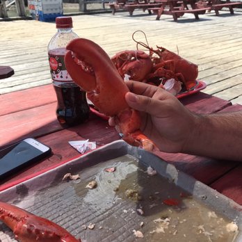 Round Pond Lobster Co-op - Mighty big claw! - Seafood Near Me - Round Pond, Maine Round Pond Lobster Co-op - Mighty big claw! - Seafood Near Me - Round Pond, Maine