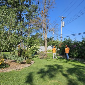 Ray's Tree Service - a man and a dog in the yard - Tree Services Near Me - Fenton, Missouri Ray's Tree Service - a man and a dog in the yard - Tree Services Near Me - Fenton, Missouri