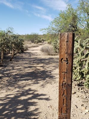 Honey Bee Canyon by null