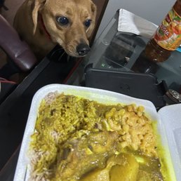 Curry chicken Curry chicken