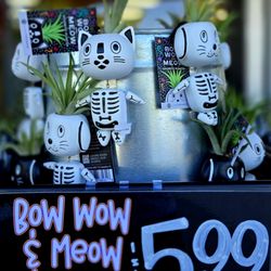 Trader Joe's - Halloween succulent magnets