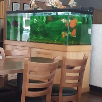 Planet Thai - a fish tank in the middle of a dining room - Thai Near Me - Lexington, Kentucky