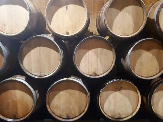 Domaine Jean-François Ganevat by null