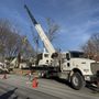 Photo of Great Oaks Tree Service