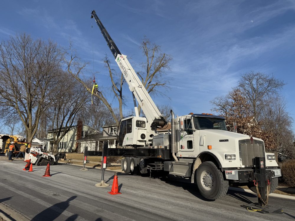 Great Oaks Tree Service - tree service in Madison, WI