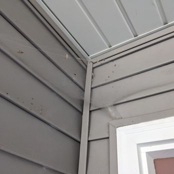 EcoShield Pest Solutions - 1 week after second application - Pest Control Near Me - Wixom, Michigan EcoShield Pest Solutions - 1 week after second application - Pest Control Near Me - Wixom, Michigan