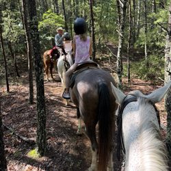 Let’s Ride Horses - One of the stops on the ride, teaching the horses (and children) patience.