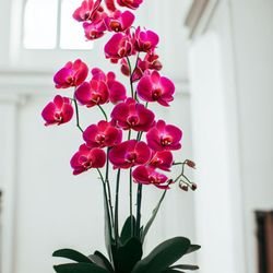 Donya's Florals