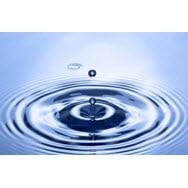 Slide of Gordon & Sloffer