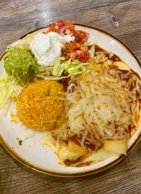 Dahlia Daytona Beach by null