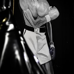 LeaksFitness
