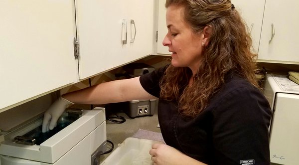 John A Israelsen, DDS