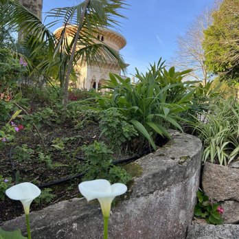 Palácio de Monserrate - Castles Near Me - Sintra, 11