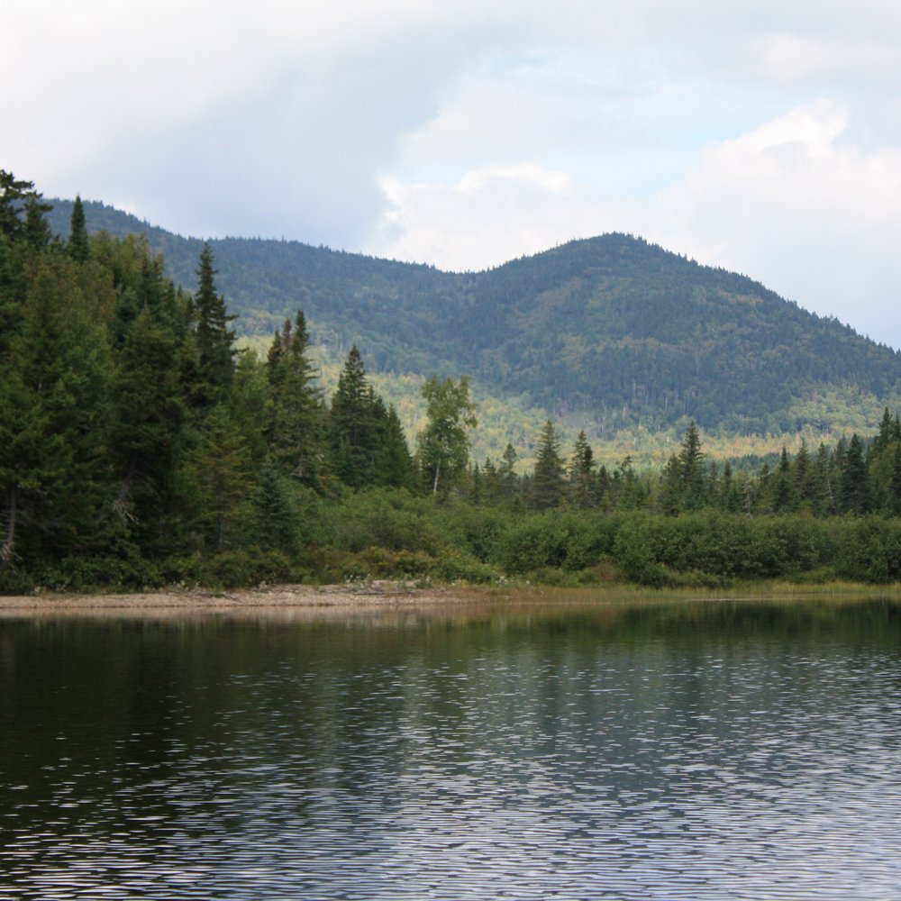 Tim Pond Camps - Fishing Near Me - Eustis, Maine