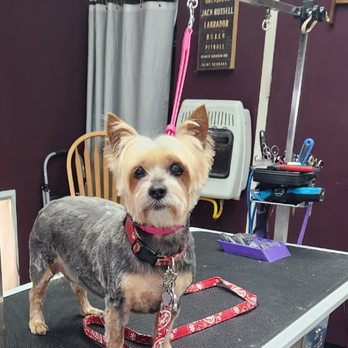 Wright Touch Grooming - Pet Groomers Near Me - Pontiac, Illinois