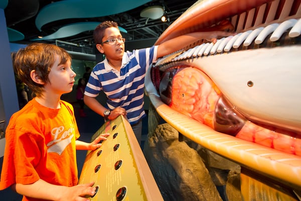 Bow Habitat Station & Sam Livingston Fish Hatchery by null