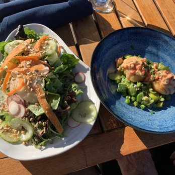 Sanderlings - Baby lettuces and Seared Scallops - Seafood Near Me - Aptos, California