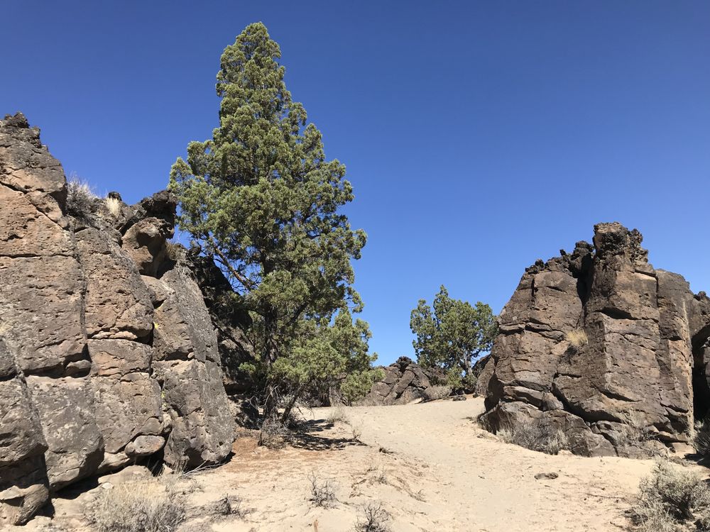 Oregon Badlands Wilderness Logo