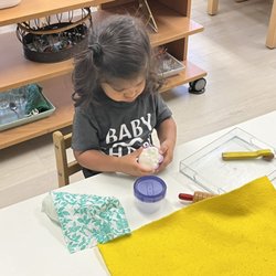 Mosaic Montessori Academy