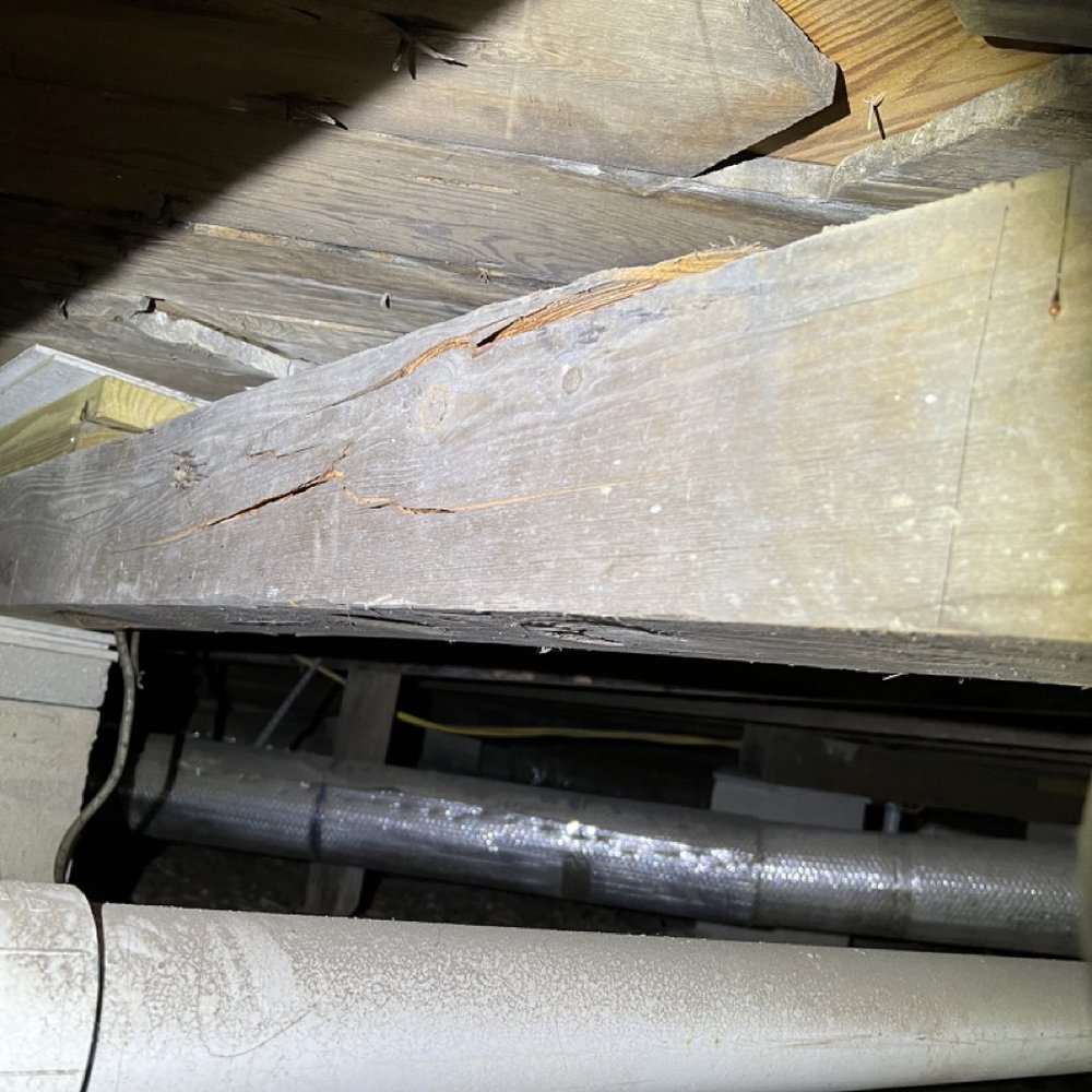 Southern Elevations and Shoring - The cracked a beam when raising my house and did not mention this or fix it - General Contractors Near Me Southern Elevations and Shoring - The cracked a beam when raising my house and did not mention this or fix it - General Contractors Near Me
