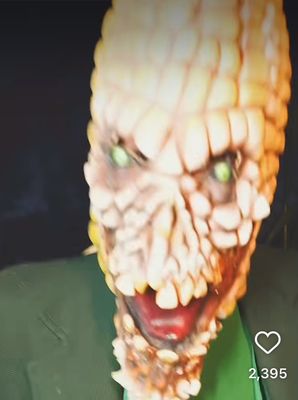 Bella Organic Farm by null