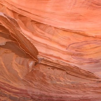 Dreamland Safari Tours - colors, S. Coyote Buttes - Tours Near Me - Kanab, Utah Dreamland Safari Tours - colors, S. Coyote Buttes - Tours Near Me - Kanab, Utah