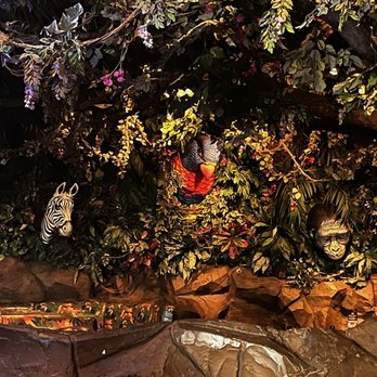 Rainforest Cafe - View around the restaurant - American Near Me - Sunrise, Florida Rainforest Cafe - View around the restaurant - American Near Me - Sunrise, Florida