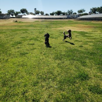 Flag City RV Resort - Dog park - Campgrounds Near Me - Lodi, California Flag City RV Resort - Dog park - Campgrounds Near Me - Lodi, California