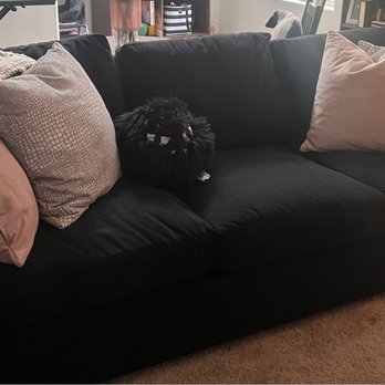 Living Spaces - Salem sofa in black velvet - toss pillows are in peony velvet and chomps nature - Furniture Stores Near Me - Summerlin, Nevada Living Spaces - Salem sofa in black velvet - toss pillows are in peony velvet and chomps nature - Furniture Stores Near Me - Summerlin, Nevada