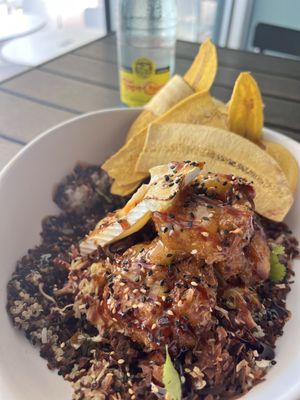 Pokekai Doral Yard by null