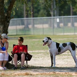 Pelican Park - Pelican Park has 2 Bark Park fenced in areas. One for small dogs and one for large dogs.