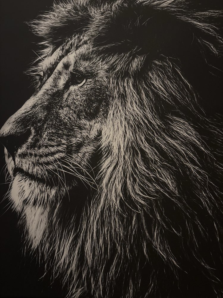 Xenia Branch YMCA - childcare center in Xenia, OH