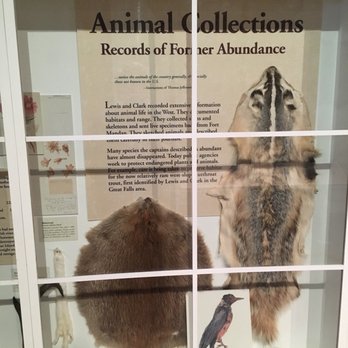Lewis & Clark Interpretive Center - Information - Museums Near Me - Great Falls, Montana