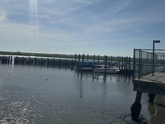 Bulls Island Ferry by null