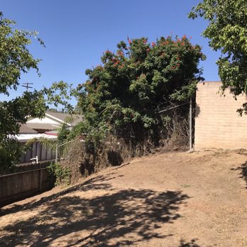 Red Maple Tree Service - Tree Services Near Me - San Diego, California Red Maple Tree Service - Tree Services Near Me - San Diego, California