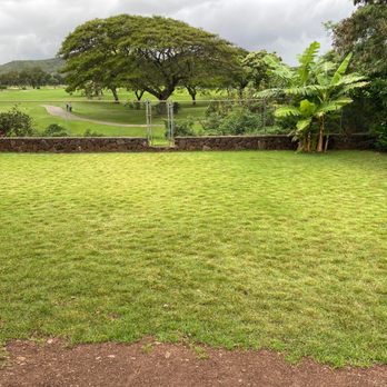Dan's Landscape & Yard Maintenance - Landscaping Near Me Dan's Landscape & Yard Maintenance - Landscaping Near Me