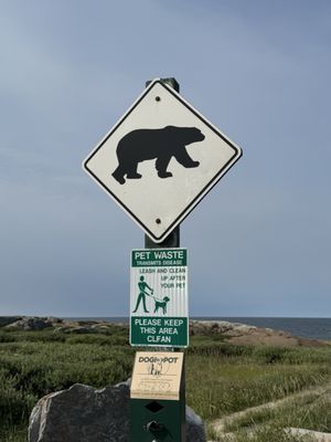 Lazy Bear Expeditions & Tours Churchill Canada by null