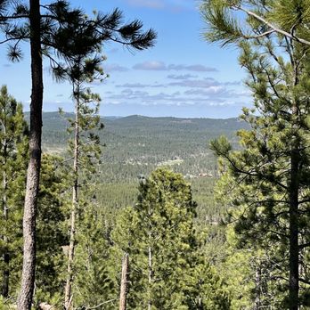 Black Hills Outdoor Fun - Beautiful scenery - ATV Rentals/Tours Near Me - Rapid City, South Dakota