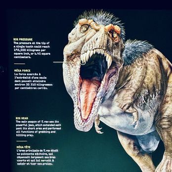 Centre des Sciences de Montréal - 6/3/25 - scary! - Museums Near Me - Montreal, Quebec