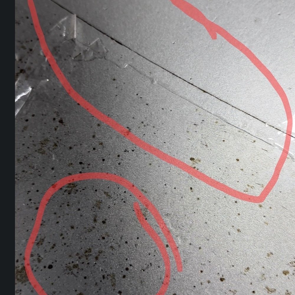 Orange Tint and More - Initial strip removed to show underlying cut & scratch marks made during the original application, ( not installed by Orange Tint and More ) - Auto Glass Services Near Me - Tampa, Florida Orange Tint and More - Initial strip removed to show underlying cut & scratch marks made during the original application, ( not installed by Orange Tint and More ) - Auto Glass Services Near Me - Tampa, Florida