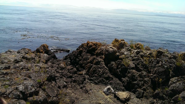 Lime Kiln Point State Park by null