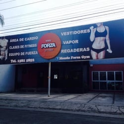 Mondo Forza - Mondo Forza Gym